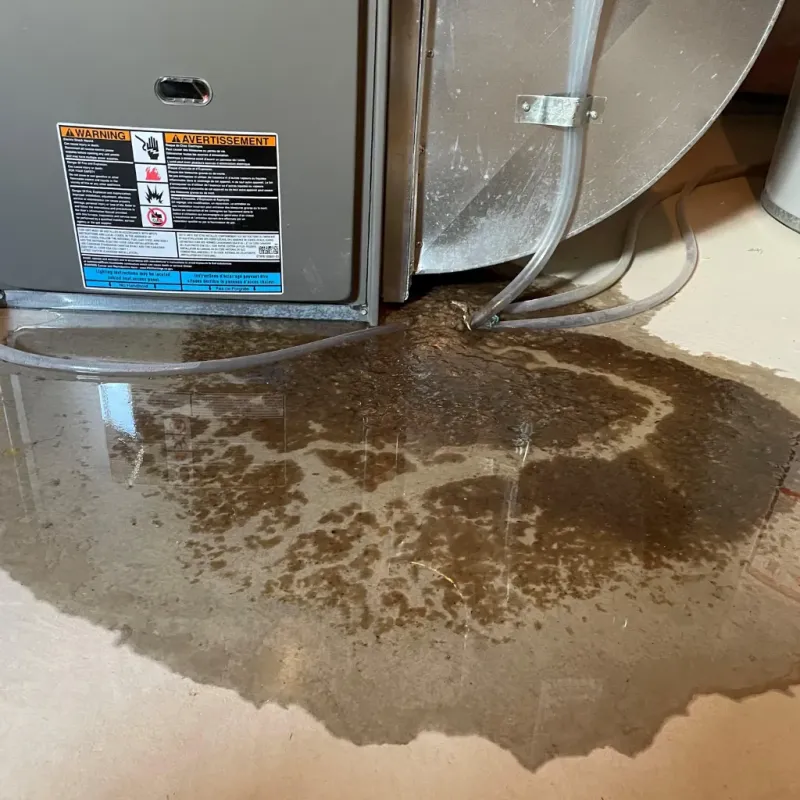 Appliance Leak Cleanup in Dixiana, AL